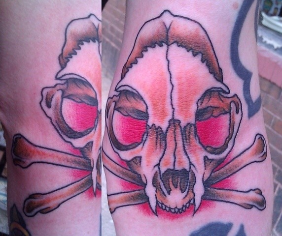 cat skull tattoo Scottish Rose Tattoo 1214 East Moore Lake Drive, Fridley, MN 55432 Peter McLeod
