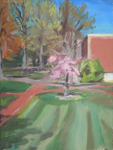 Cherry Blossoms Near Andrews Hall. 16 x 12". Oil on Canvas. March 2010. William and Mary