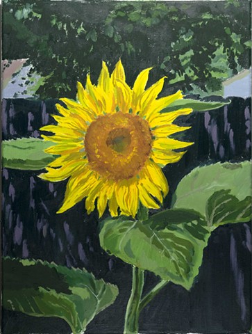 Sunflower Backyard Oil Paint on Canvas Yellow Flower Leaves Shade Suburbs Backyard
