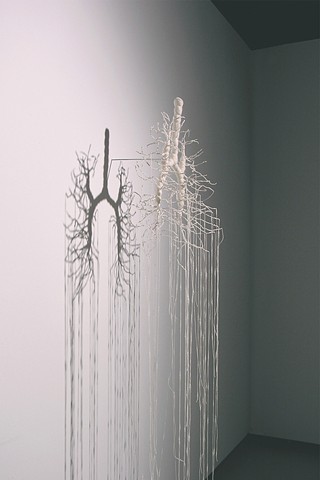 branches and lungs