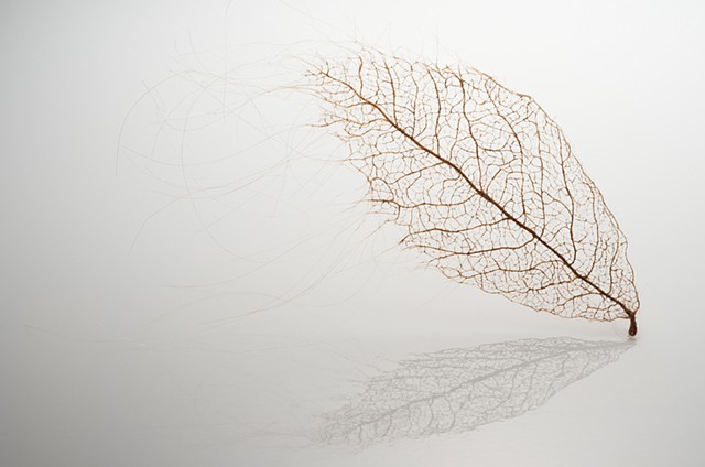 hair leaf