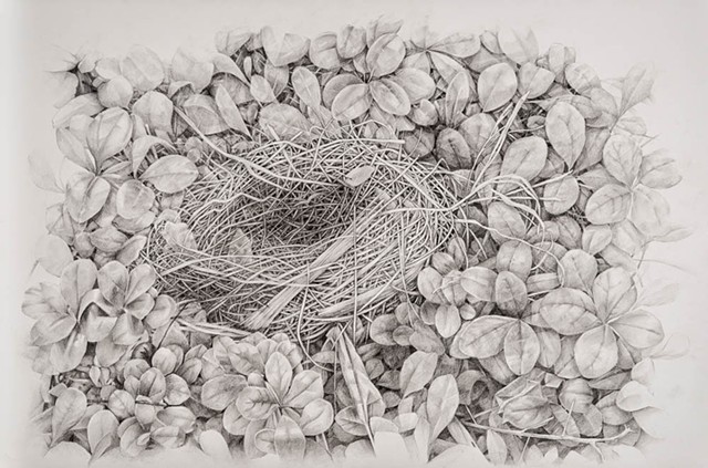 Nest in Leaves