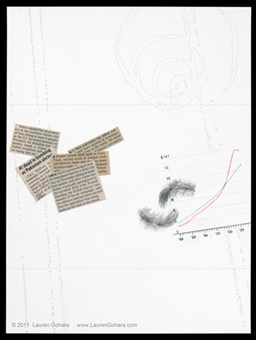 drawing of household debt and disposable income, newspaper clippings, particle physics tracks, and feathers by Lauren Gohara