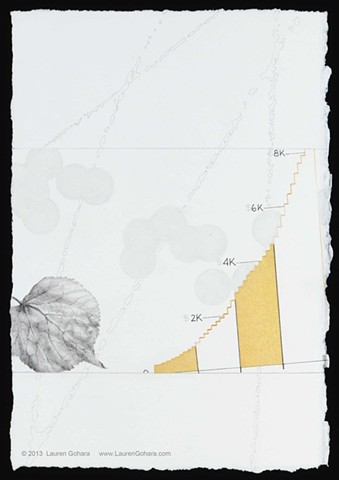 drawing of leaf, U.S. healthcare spending, particle physics tracks, and dots by Lauren Gohara
