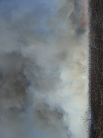 Smoke, Northeastern Illinois 1