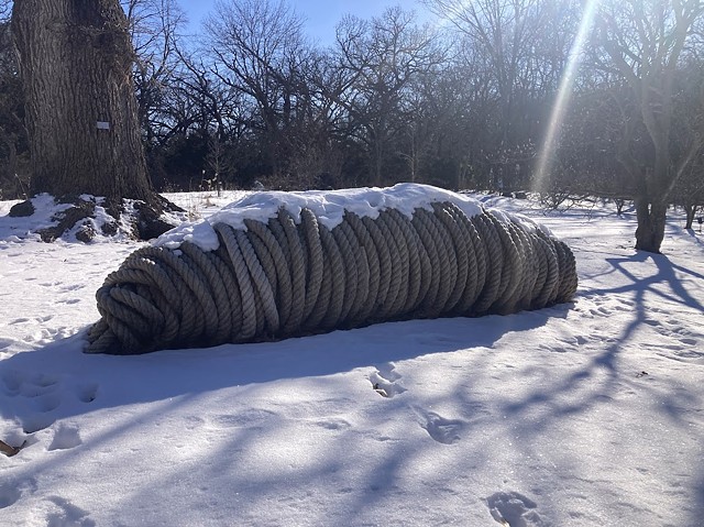Photo by Alex Mills, Klehm Arboretum