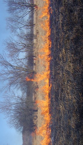 Marsh Fire #2