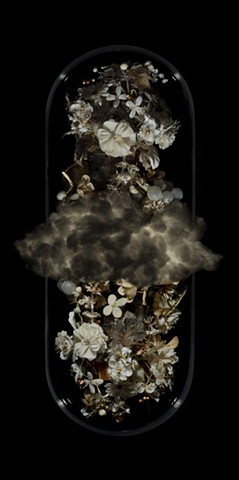 Angela casey artist photography art gallery cloud of unknowing tasmanian gothic still life