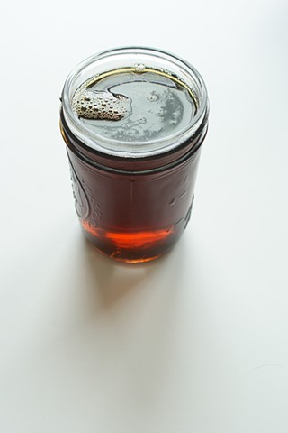 Home is wherever I'm with you: Honeysuckle (Lonicera japonica) syrup