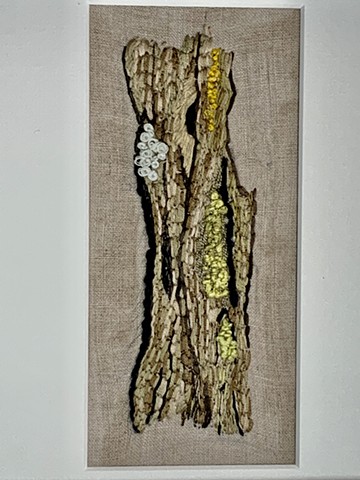 Tree Trunk with Lichen (w/o frame)