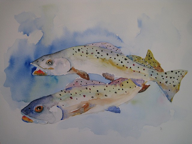 Summer Trout