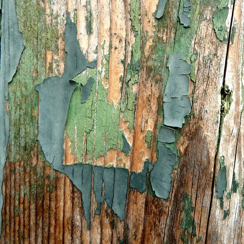 Peeling Wood Wall - Venice