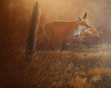 Florida Red Fox Acrylic painting Scott Hiestand