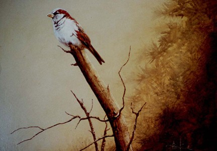 Sparrow painting Acrylic Scott Hiestand