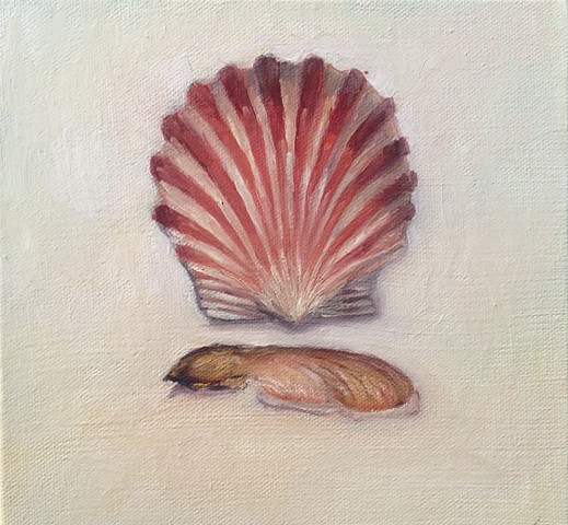 Painting, Nature, Seashell, Seed
