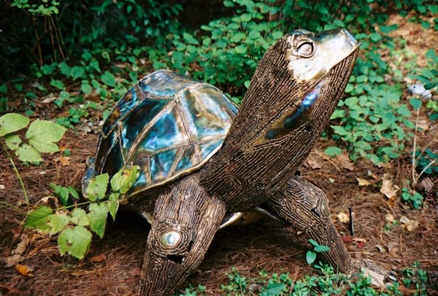 Bronze Turtle sculpture by Thomas Prochnow