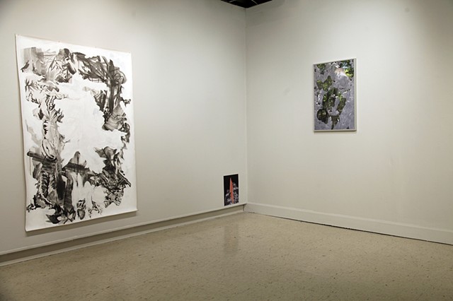 Installation View: "Spill at the Northeast Border" and "Forest Interference"