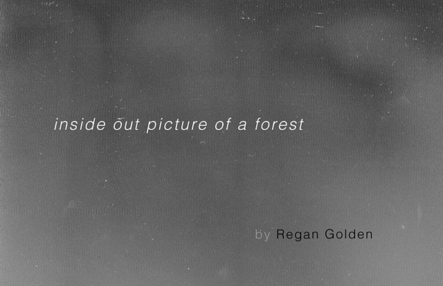 "Inside Out Picture of a Forest," published by Drawn Lots Press, edition of 25. 