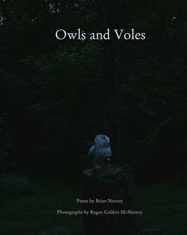 Artist book about owls, Brian Nerney, Regan Golden-McNerney, Drawn Lots Press