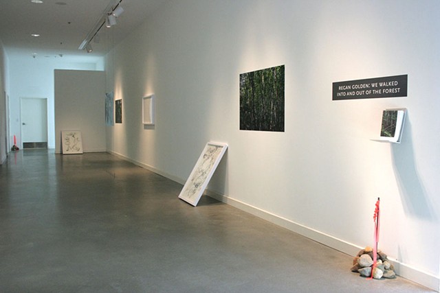 Installation view, "We walked into and out of the forest," Rochester Art Center. 