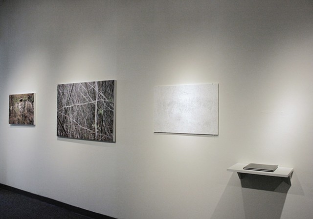 Installation View, "At the Edge of an Unfamiliar Forest"