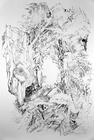 Graphite drawings of a forest by Regan Golden, Regan Golden-McNerney