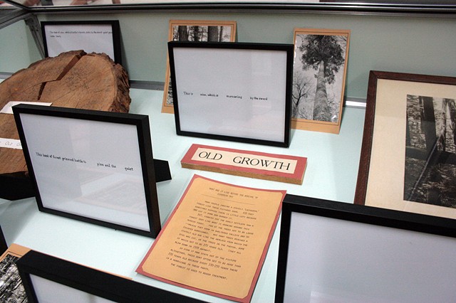 Installation View, "We've been to this site."
(Detail of display case on right side at entry)