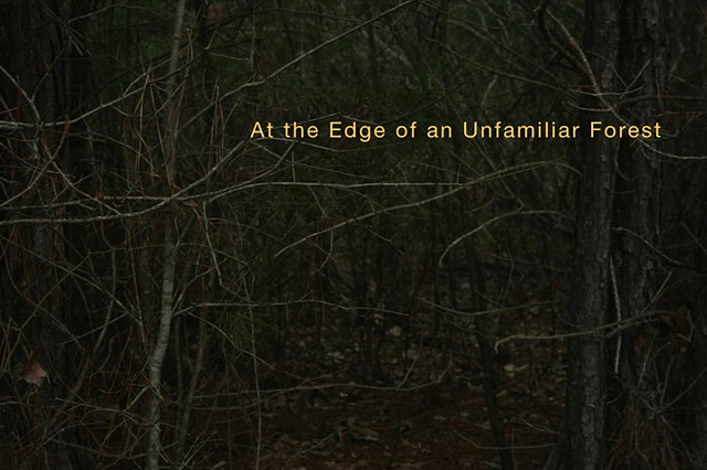Cover, "At the Edge of an Unfamiliar Forest," published by Drawn Lots Press