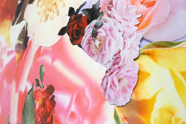 Cumulo Rosa: Garden for the Future, Installation View