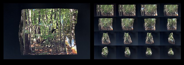 Inside Out Picture of a Forest: pages 17 and 37