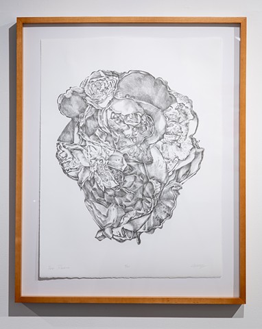 Cumulo Rosa: Garden for the Future, Installation View
