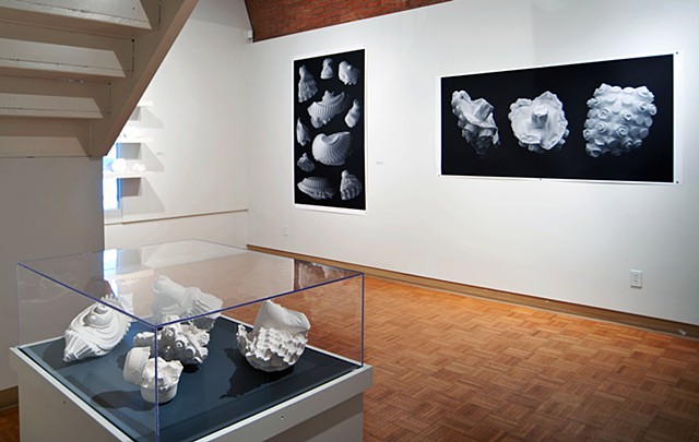 gallery shot of Karsh Masson exhibition 
"Big Pictures/ Small Things"
Ottawa, Canada