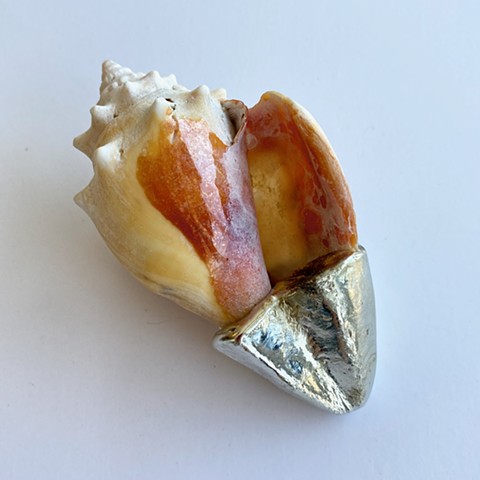 Secrets of the Secluded Cove 006 (Fold)