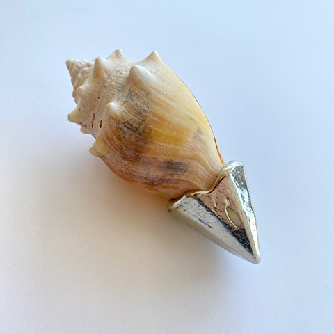 Secrets of the Secluded Cove 016 (Point)