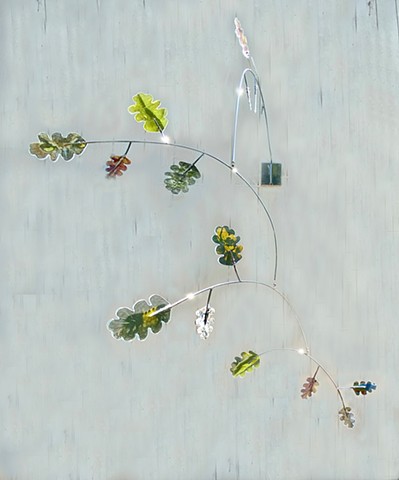 Quercus II,: Stainless, Photography, Plexiglas, 2023