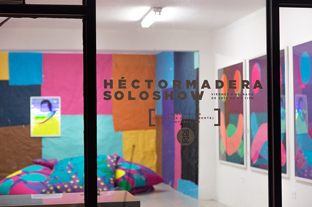 Madera Studio - SHAMEFUL ACTS,  DISGRACEFUL EPISODES,  GRANDIOSE MOMENTS, INSIGNIFICANT ACHIEVEMENTS AND EVERYTHING IN BETWEEN. (INSTALLATION VIEW), Hector Madera, Duro, Arte, CDMX, Espacio 20/20, Bayamontate, Bayamon, Puerto Rico, Bajapantis, 2015
