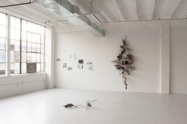 From the Womb of Life Installation View