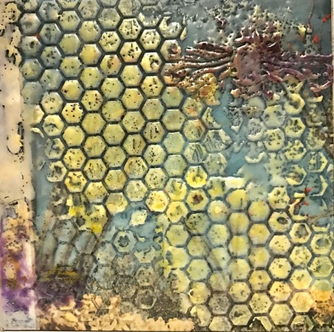 Desert Bee V