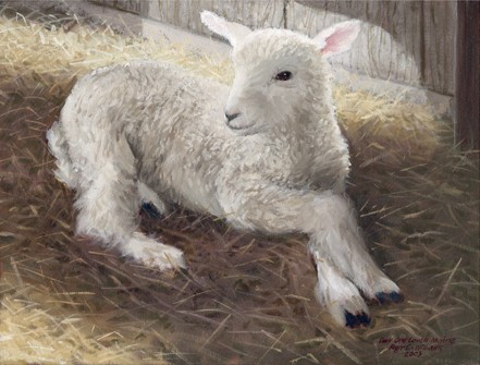 "Lamb, Day One"