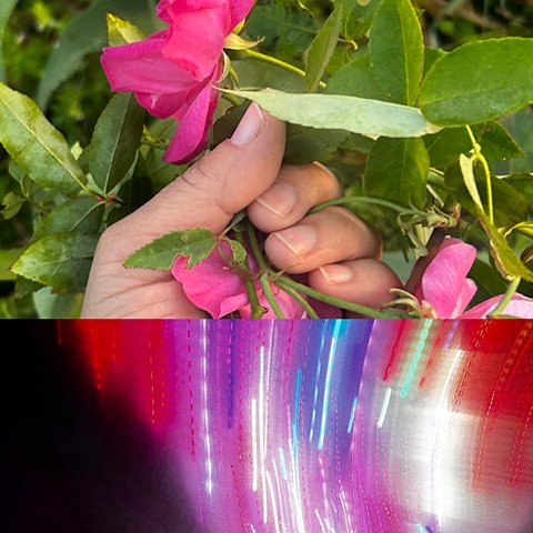 ISELA AGUIRRE : Color-fields and Picture Poems