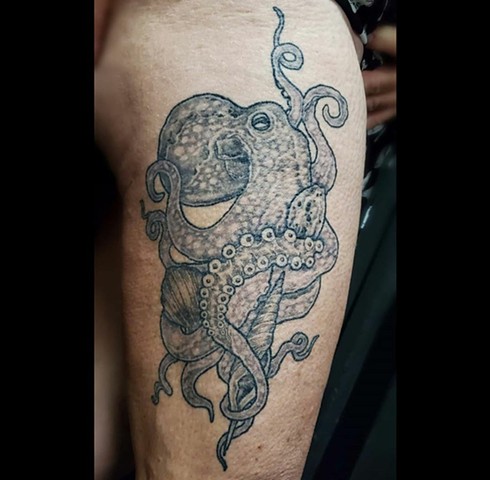 All Rights Reserved By Shauna Fujikawa Stickles- Octopus