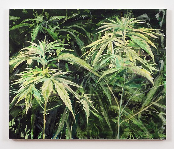painting of marijuana