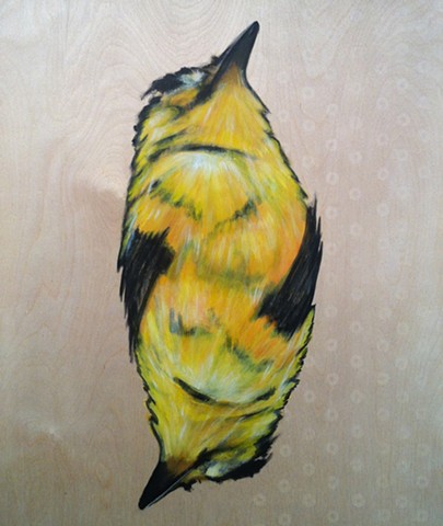 canary, yellow bird, bird painting, face cards, donuts