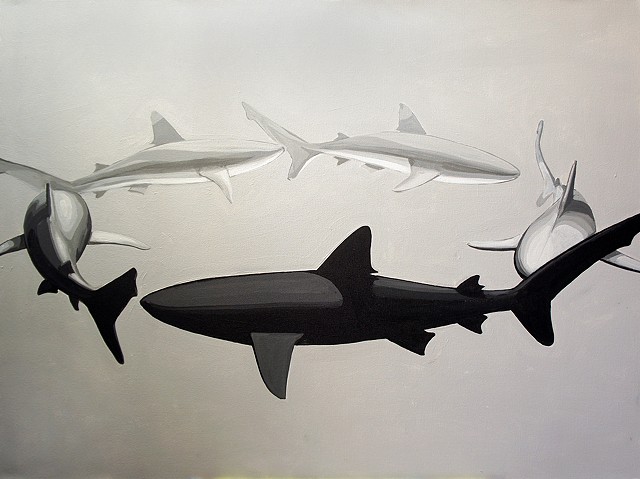 shark circle 3   30"x40" acrylic on canvas