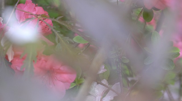 You Were Here (video still)