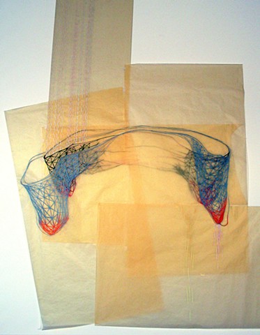 Biomorphic Abstract Drawing Installation by Kathleen Thum