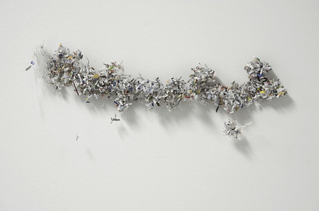 Shredded Lace by Nancy Fleischman 