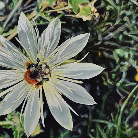 floral painting, bee, pollination, springtime, photorealism, hyperrealism, oil painting, nature painting, flower painting, save the bees