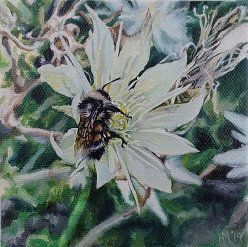bee painting, evening star, colorado wild flower, pollinator, nature painting, small work