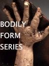 Bodily Form Series